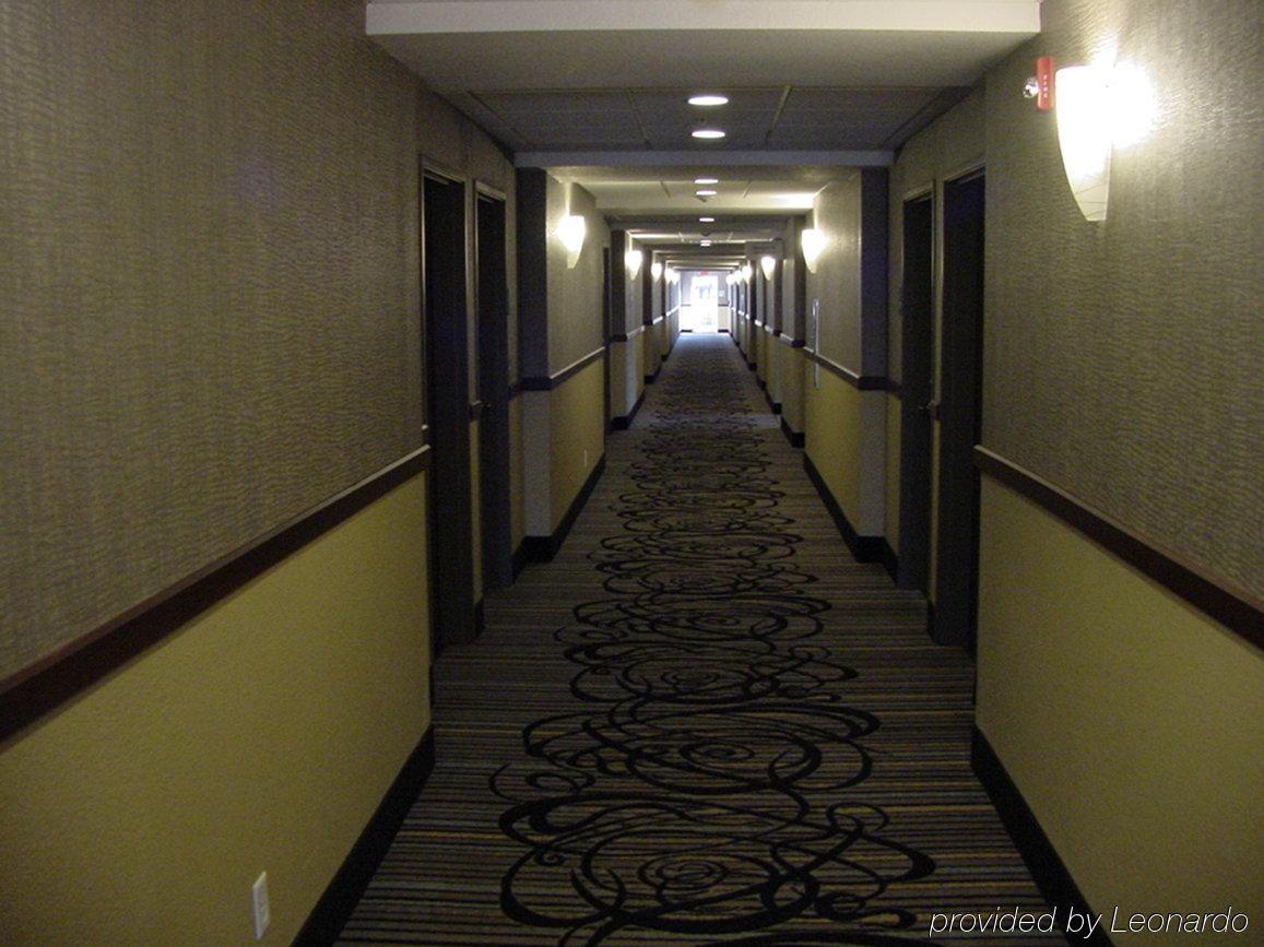 Holiday Inn Express & Suites Fredericksburg By Ihg מראה חיצוני תמונה